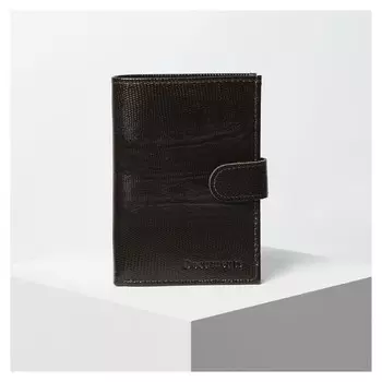 Обложка для автодокументов и паспорта, отдел для купюр, цвет коричневый