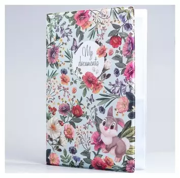 Обложка для документов, дисней, 12 файлов