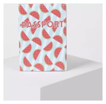 Обложка для паспорта Арбузы Цвет голубой