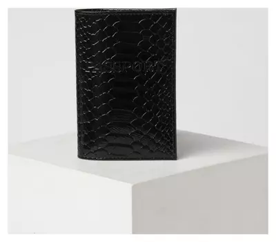 Обложка для паспорта, цвет чёрный