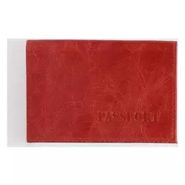 Обложка для паспорта, цвет красный
