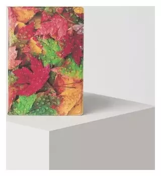 Обложка для паспорта, цвет оранжевый