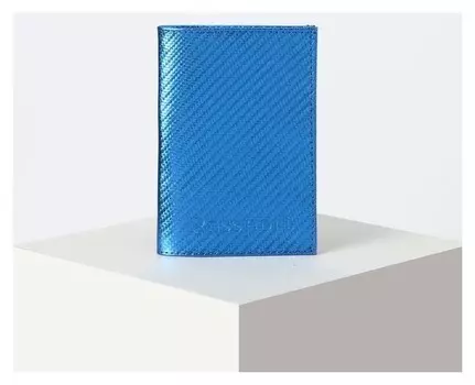 Обложка для паспорта, цвет синий