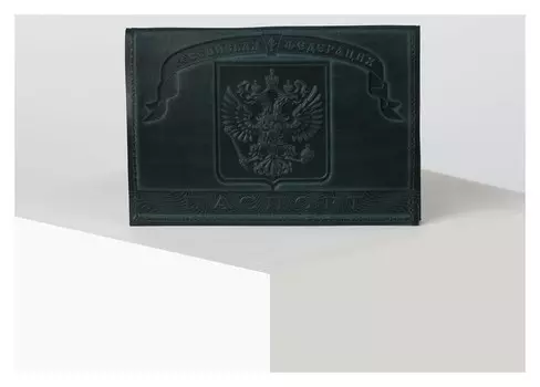 Обложка для паспорта, цвет зелёный