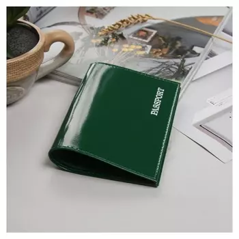 Обложка для паспорта, цвет зелёный, гладкий