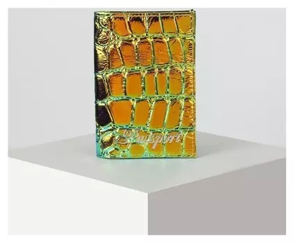 Обложка для паспорта, цвет золотистый