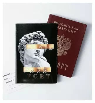 Обложка для паспорта "David"