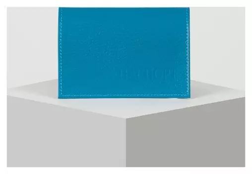 Обложка для паспорта, флотер, цвет голубой