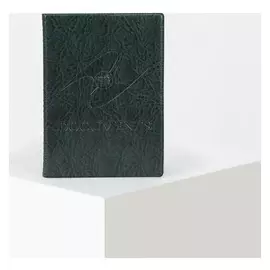 Обложка для паспорта и автодокументов с вкладышами пвх, цвет зелёный
