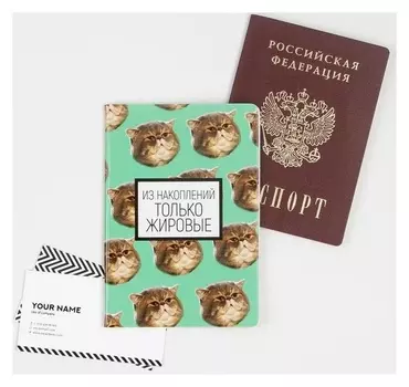 Обложка для паспорта «Из накоплений только жировые»