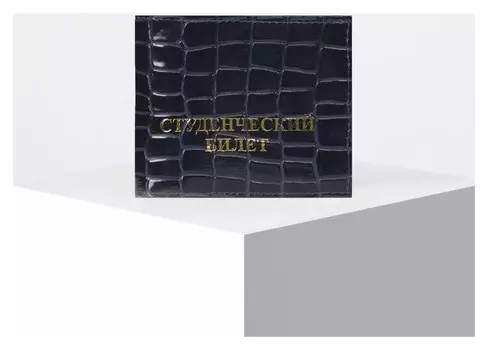 Обложка для студенческого билета, цвет синий