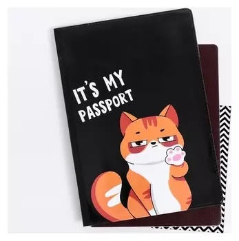 Обложка на паспорт ПВХ « Это мой паспорт»