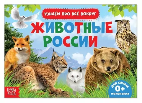 Обучающая книжка «Животные россии», 18 животных