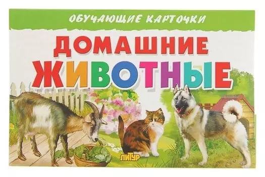 Обучающие карточки «Домашние животные»