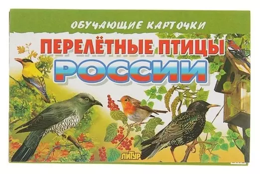 Обучающие карточки «Перелётные птицы россии», 16 карточек