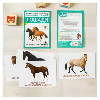 Обучающие карточки по методике Г. Домана «Лошади», 10 карт