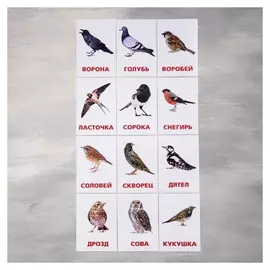Обучающие карточки по методике Г. домана «Птицы россии», 12 карт, А6