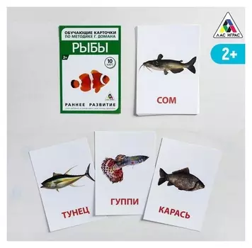 Обучающие карточки по методике Г. домана «Рыбы», 10 карт, А6