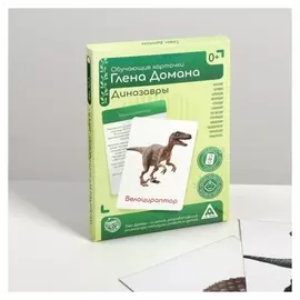 Обучающие карточки по методике Глена Домана «Динозавры», 12 карт