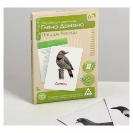 Обучающие карточки по методике Глена Домана «Птицы России», 12 карт