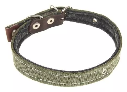 Ошейник брезентовый на фетре, 40 х 2 см микс цветов