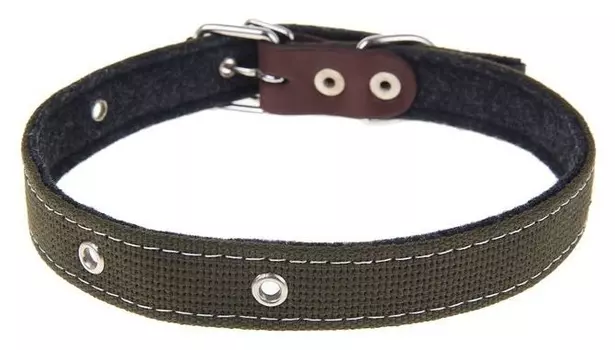 Ошейник брезентовый на фетре, 62 х 2,5 см, микс