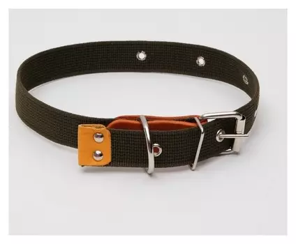 Ошейник брезентовый однослойный, 52 х 3 см микс цветов