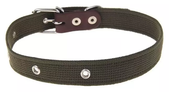 Ошейник брезентовый однослойный, 60,5 х 2,5 см, микс