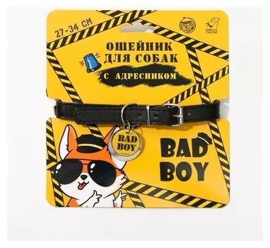 Ошейник для собак Bad Boy с адресником
