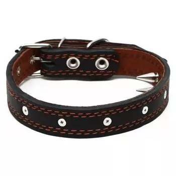 Ошейник для собак кожаный Строгий шип, 56 х 2.5 см, ОШ 35-45 см, чёрный