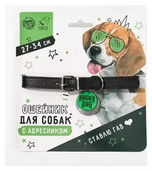 Ошейник для собак Rochin Dog с адресником