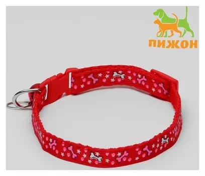 Ошейник двухслойный с фастексом "Звездные косточки", 30 х 1 см, микс цветов