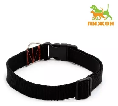 Ошейник капроновый однослойный, фастекс с замком, 70 х 2,5 см, ОШ до 60 см, чёрный