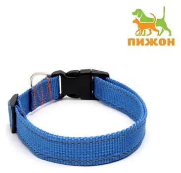 Ошейник капроновый, светоотражающий, фастекс с замком, 70 х 2,5 см, ОШ до 60 см, васильковый