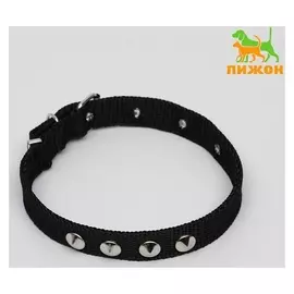 Ошейник клепаный, 40,5 х 2 см, полиэстер, чёрный