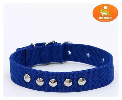 Ошейник клепаный, 48,5 х 3 см, полиэстер, синий