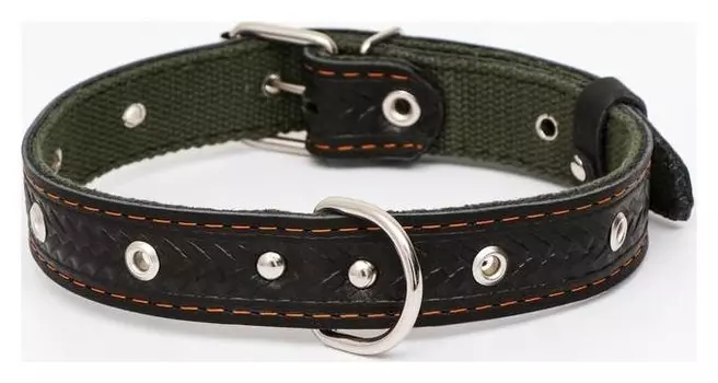 Ошейник комбинированный безразмерный, кожа/брезент, 60 х 3 см, ОШ 30-57 см, чёрный/зелёный