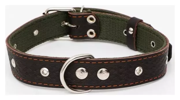 Ошейник комбинированный безразмерный, кожа/брезент, 65 х 3,5 см, коричневый