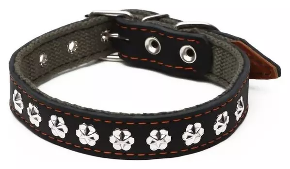 Ошейник комбинированный кожа/брезент, 54 х 2,5 см, украшенный, ОШ 35-45 см, черный
