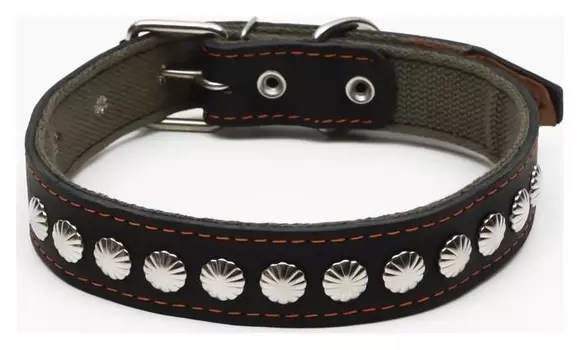 Ошейник комбинированный кожа/брезент, 69 х 3,5 см, украшенный, ОШ 45-60 см, чёрный