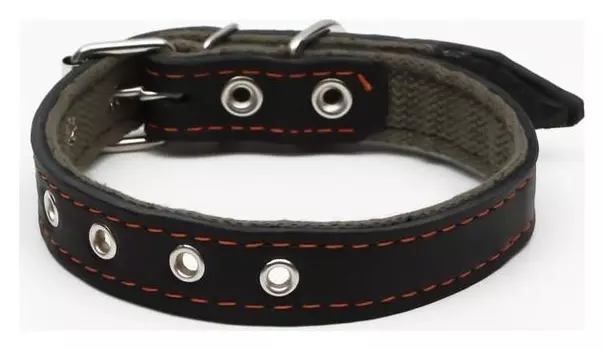 Ошейник комбинированный кожа/брезент, безразмерный, 54 х 2.5 см, чёрный