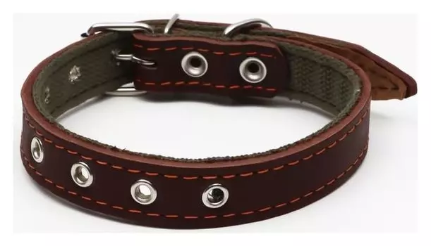 Ошейник комбинированный кожа/брезент, безразмерный, 54 х 2.5 см, коричневый