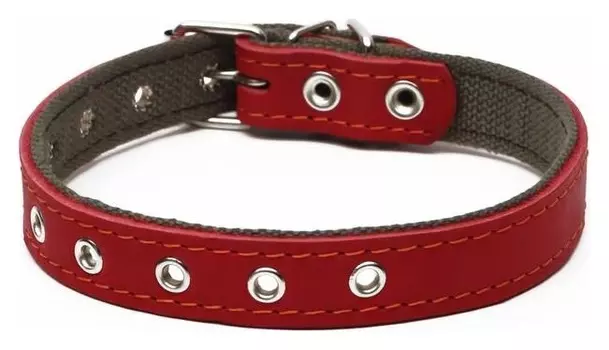 Ошейник комбинированный кожа/брезент, безразмерный, 54 х 2.5 см, красный