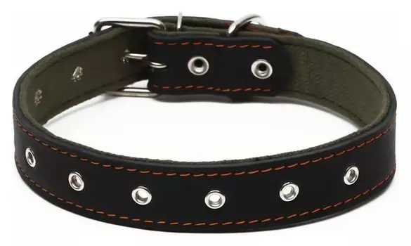 Ошейник комбинированный кожа/брезент, безразмерный, 70 х 3,5 см, чёрный