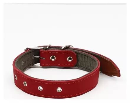 Ошейник комбинированный кожа/брезент, безразмерный, 70 х 3,5 см, красный