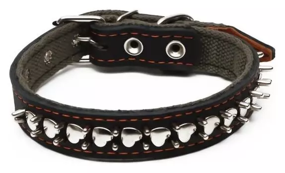 Ошейник комбинированный кожа/брезент "Ёж", 55 х 2.5 см, ОШ 35-45 см, чёрный
