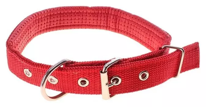 Ошейник "Комфорт" комбинированный (Полиэстер, искусственная кожа), 55 х 2,5 см, красный