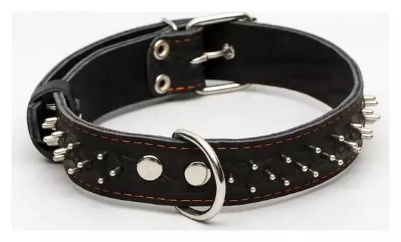 Ошейник кожаный двухслойный клёпаный "Ёж", 65 х 3,5 см, ОШ 50-60 см, чёрный