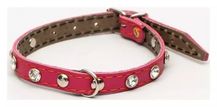 Ошейник кожаный двухслойный со стразами, 1,2 х 35 см, ОШ 20-30 см, розовый