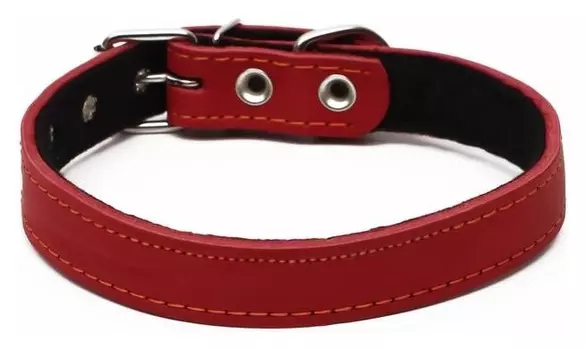 Ошейник кожаный на синтепоне, 56 х 2.5 см, ОШ 35-45 см, красный